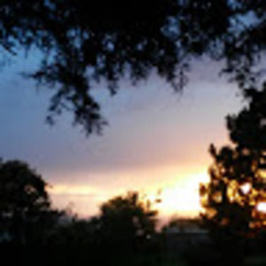 Meet your Posher, Roberta